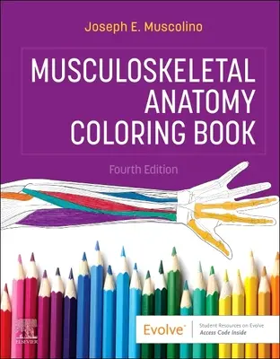 Mozgásszervi anatómia színezőkönyv - Musculoskeletal Anatomy Coloring Book