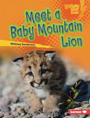 Ismerkedj meg egy hegyi oroszlánbébivel - Meet a Baby Mountain Lion