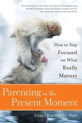 Szülőség a jelen pillanatban: Hogyan összpontosítsunk arra, ami igazán számít? - Parenting in the Present Moment: How to Stay Focused on What Really Matters