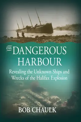 A veszélyes kikötő: A halifaxi robbanás ismeretlen hajóinak és roncsainak feltárása - The Dangerous Harbour: Revealing the Unknown Ships and Wrecks of the Halifax Explosion