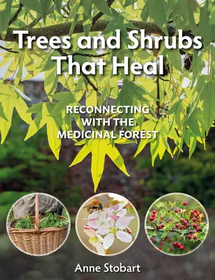 Gyógyító fák és cserjék: Újra kapcsolódás a gyógyító erdőhöz - Trees and Shrubs That Heal: Reconnecting with the Medicinal Forest