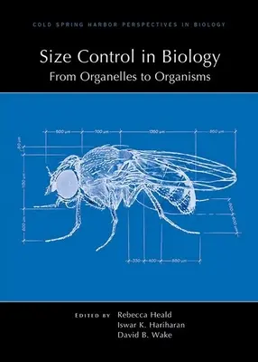 Méretszabályozás a biológiában: Az organelláktól az organizmusokig - Size Control in Biology: From Organelles to Organisms