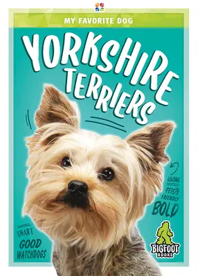 Yorkshire terrierek - Yorkshire Terriers