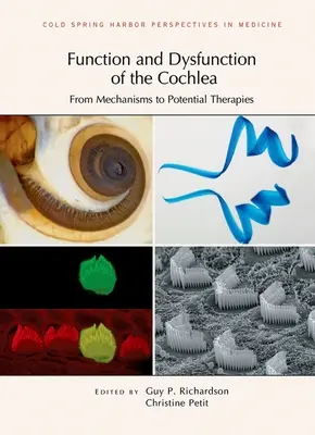 A cochlea működése és működési zavarai: A mechanizmusoktól a lehetséges terápiákig - Function and Dysfunction of the Cochlea: From Mechanisms to Potential Therapies