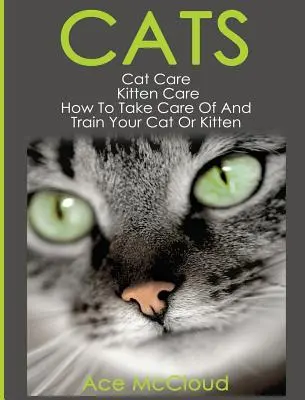 Macskák: Macskák: Macskaápolás: Cicagondozás: Hogyan gondozd és neveld a macskádat vagy cicádat? - Cats: Cat Care: Kitten Care: How To Take Care Of And Train Your Cat Or Kitten