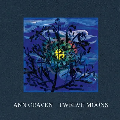 Ann Craven: Tizenkét hold - Ann Craven: Twelve Moons