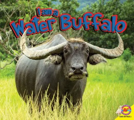 Vízibivaly vagyok - I Am a Water Buffalo