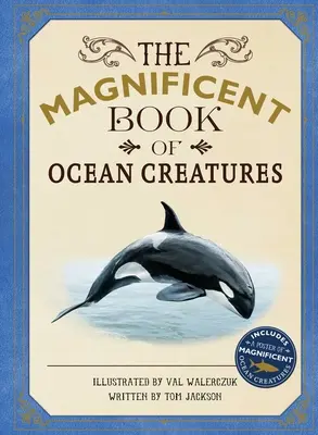 Az óceáni lények csodálatos könyve - The Magnificent Book of Ocean Creatures