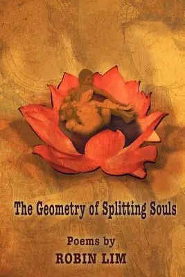 A lelkek megosztásának geometriája - The Geometry of Splitting Souls