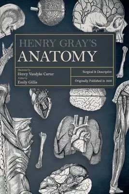 Henry Gray anatómiája: sebészeti és leíró jellegű - Henry Gray's Anatomy: Surgical and Descriptive