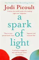 A fény szikrája - AZ ELSŐ számú SUNDAY TIMES BESTSELLER - Spark of Light - THE NUMBER ONE SUNDAY TIMES BESTSELLER