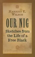 A mi Nig: Vázlatok egy szabad fekete életéből - Our Nig: Sketches from the Life of a Free Black