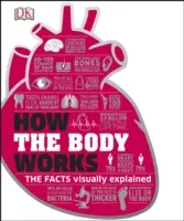 Hogyan működik a test - A tények egyszerűen magyarázva - How the Body Works - The Facts Simply Explained