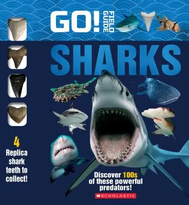 Hajrá! Terepszemle: Sharks - Go! Field Guide: Sharks