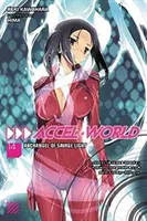 Accel World, Vol. 14 (Light Novel): A vad fény arkangyala - Accel World, Vol. 14 (Light Novel): Archangel of Savage Light