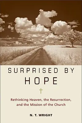 Meglepett a remény: A mennyország, a feltámadás és az egyház küldetésének újragondolása - Surprised by Hope: Rethinking Heaven, the Resurrection, and the Mission of the Church