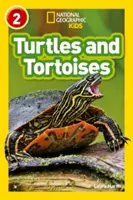 Teknősök és teknősök - 2. szint - Turtles and Tortoises - Level 2