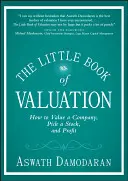 Az értékelés kis könyve: Hogyan értékeljünk egy vállalatot, válasszunk részvényt, és hogyan profitáljunk - The Little Book of Valuation: How to Value a Company, Pick a Stock, and Profit