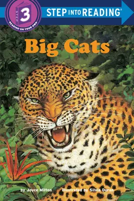 Nagymacskák - Big Cats