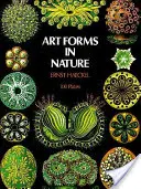 Művészeti formák a természetben - Art Forms in Nature