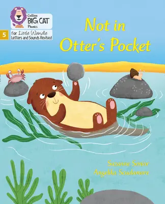 Nem a Vidra zsebében! - 5. fázis - Not in Otter's Pocket! - Phase 5