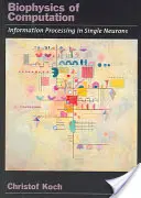 A számítás biofizikája: Információfeldolgozás az egyes neuronokban - Biophysics of Computation: Information Processing in Single Neurons