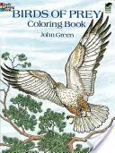 Ragadozó madarak színező könyv - Birds of Prey Coloring Book