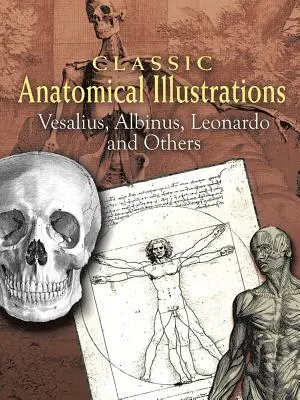 Klasszikus anatómiai illusztrációk: Vesalius, Albinus, Leonardo és mások - Classic Anatomical Illustrations: Vesalius, Albinus, Leonardo and Others