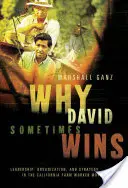 Miért győz néha Dávid: Vezetés, szervezés és stratégia a kaliforniai mezőgazdasági munkásmozgalomban - Why David Sometimes Wins: Leadership, Organization, and Strategy in the California Farm Worker Movement