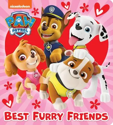 A legjobb szőrös barátok (Mancs őrjárat) - Best Furry Friends (Paw Patrol)