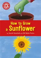 Reading Champion: How to Grow a Sunflower - Független olvasmányok Nem fikciós könyvek Red 2 - Reading Champion: How to Grow a Sunflower - Independent Reading Non-fiction Red 2