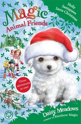 Varázslatos állatbarátok: Holly Santapaws megmenti a karácsonyt - Special 5 - Magic Animal Friends: Holly Santapaws Saves Christmas - Special 5