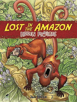 Lost in the Amazon Hidden Pictures