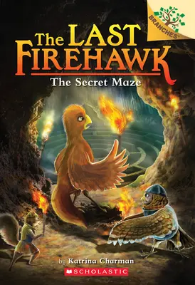 The Secret Maze: A Branches Book (The Last Firehawk #10), 10 - The Secret Maze: A Branches Book (the Last Firehawk #10), 10