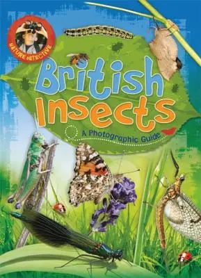 Természet detektív: Rovarok - Nature Detective: British Insects