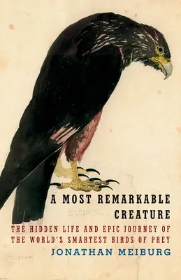 Egy igen figyelemre méltó teremtmény: A világ legokosabb ragadozómadarainak rejtett élete - A Most Remarkable Creature: The Hidden Life of the World's Smartest Birds of Prey