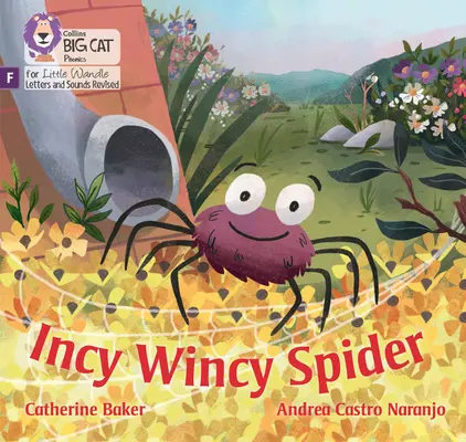 Incy Wincy Spider - Fonikai alapok - Incy Wincy Spider - Foundations for Phonics