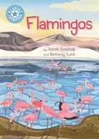 Olvasás bajnoka: Flamingók - Független olvasmányok nem fikciós könyvek Blue 4 - Reading Champion: Flamingos - Independent Reading Non-Fiction Blue 4