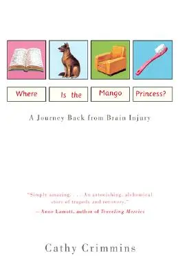 Hol van a mangó hercegnő? A Journey Back from Brain Injury - Where Is the Mango Princess?: A Journey Back from Brain Injury