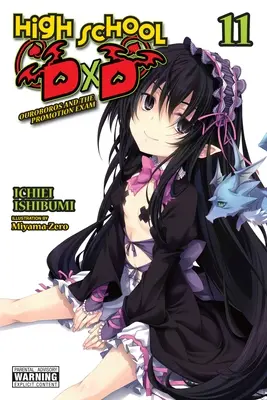 High School DXD, 11. kötet (Light Novel) - High School DXD, Vol. 11 (Light Novel)