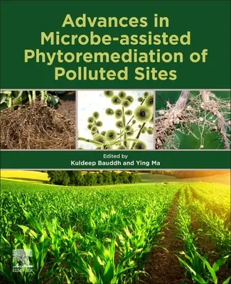 A szennyezett területek mikrobák által támogatott fitoremediációja terén elért előrelépések - Advances in Microbe-Assisted Phytoremediation of Polluted Sites