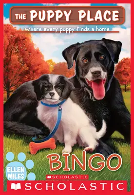 Bingo (A kiskutya helye #65) - Bingo (the Puppy Place #65)